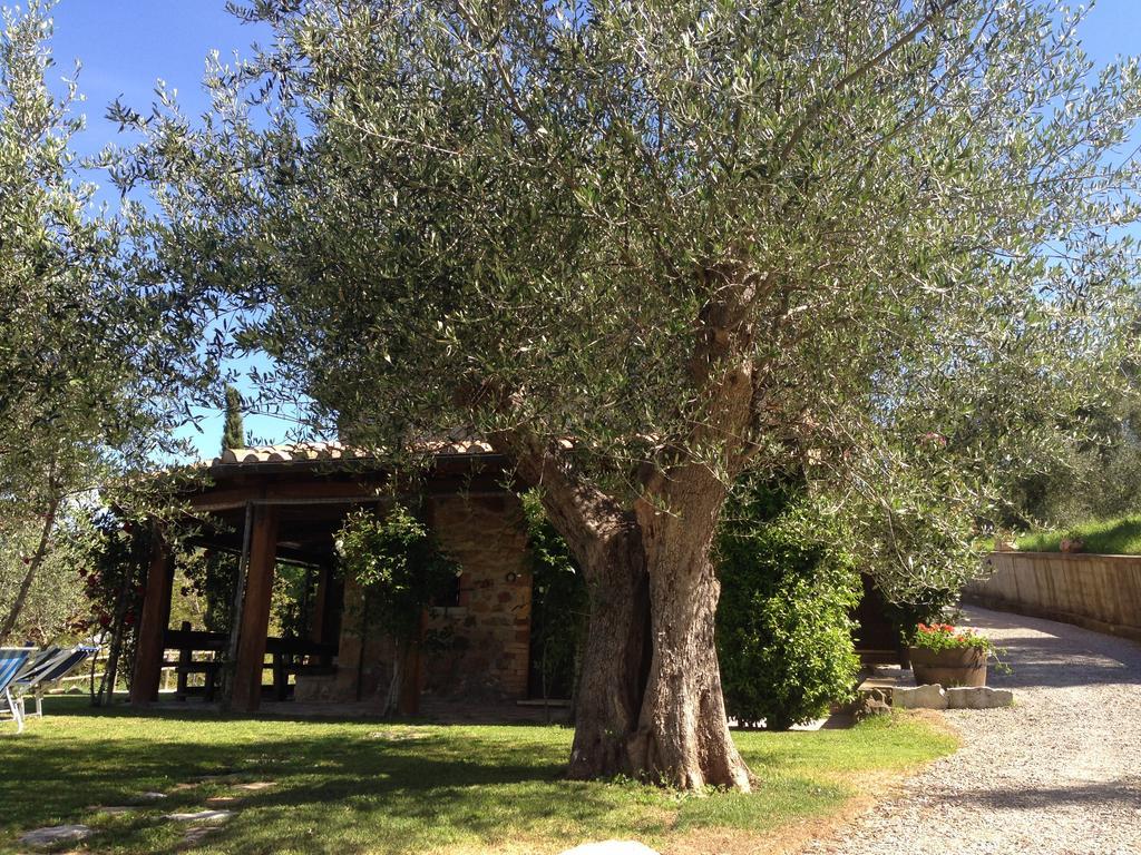 Podere Poggio Benedetto Saturnia Rom bilde